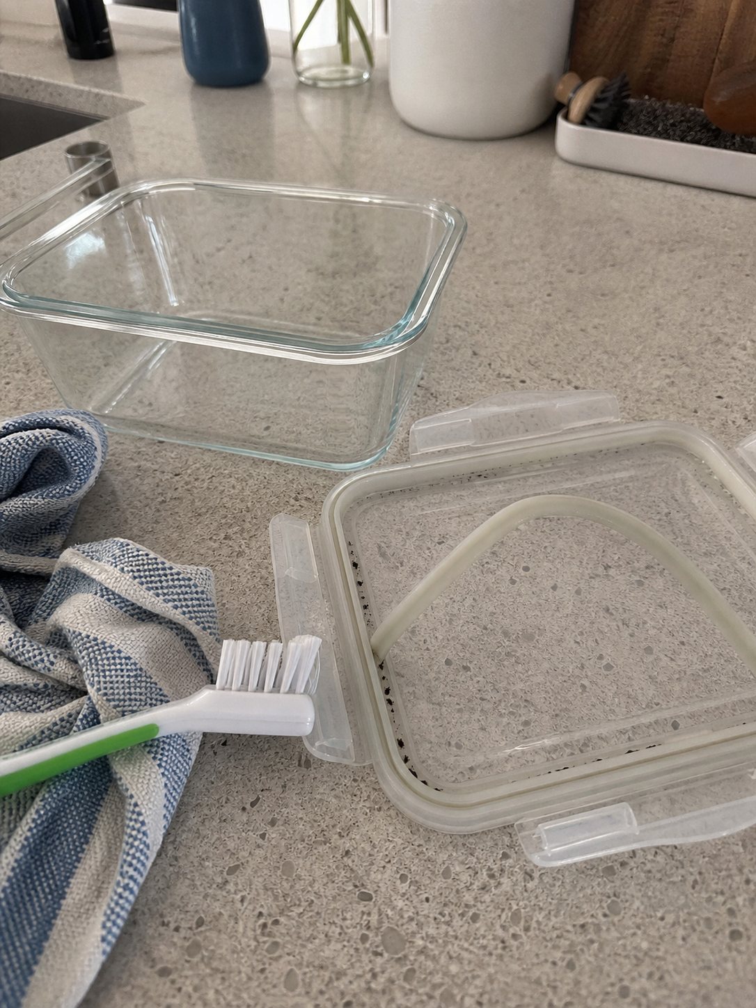 Glass food storage lid with the gasket removed on a kitchen counter, showing trapped moisture and mold specks in the groove